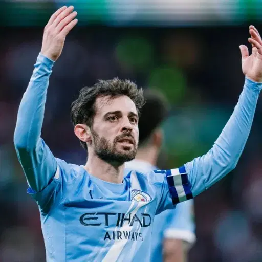 Bernardo Silva cover