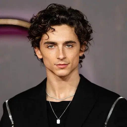 Timothée Chalamet cover