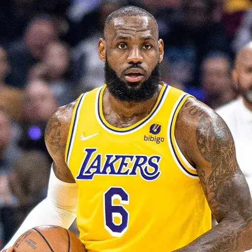 LeBron James cover