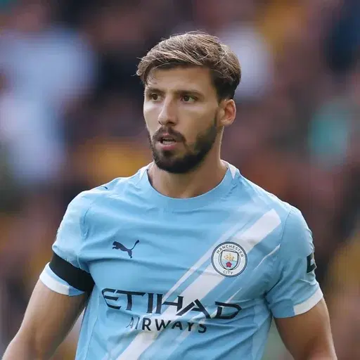 Rúben Dias cover